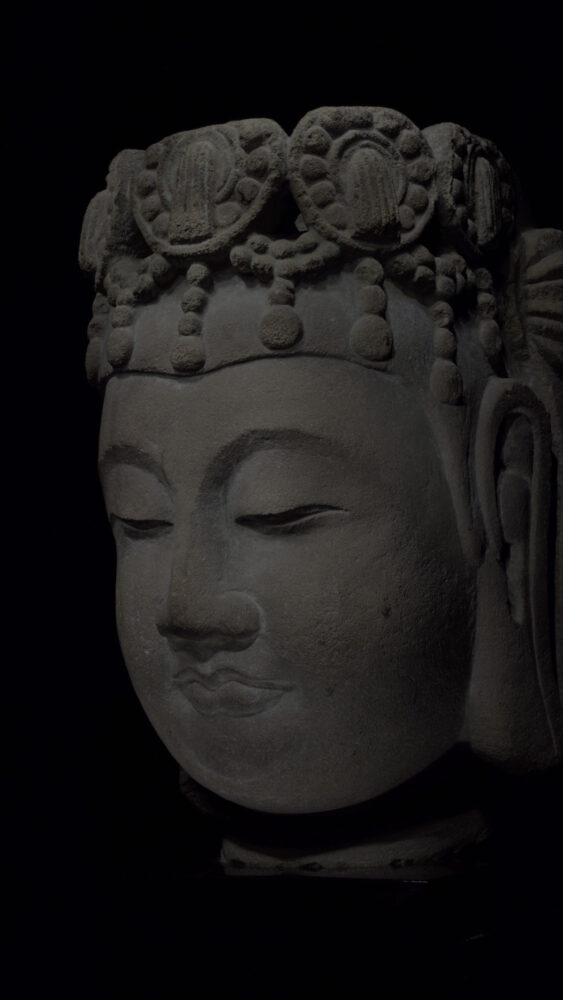 Drawing Study - Limestone Head of Bodhisattva, Sui Dynasty 
