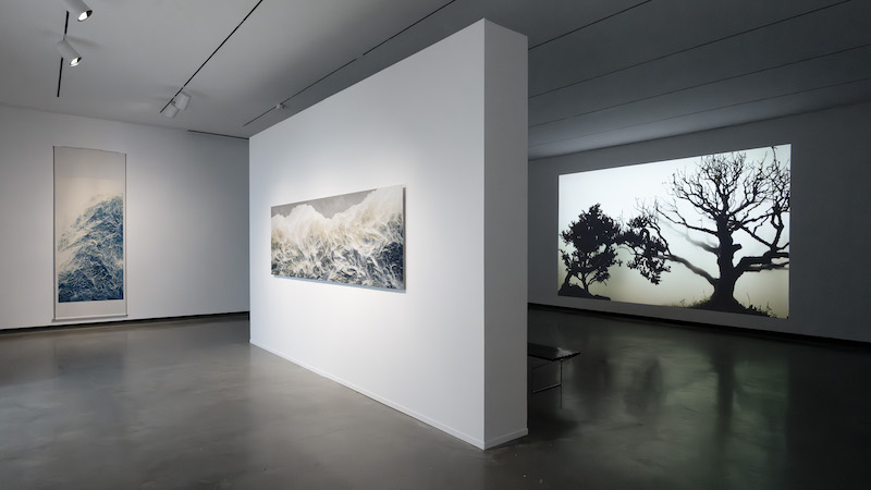 Installation view