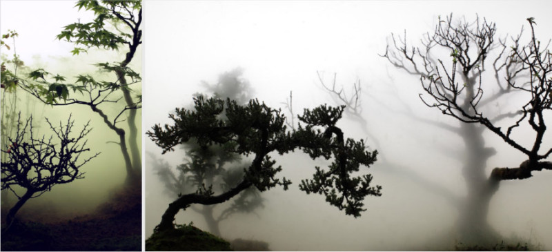 landscape in the mist wu chi tsung